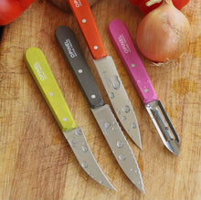 Load image into Gallery viewer, Opinel Les Essentials Small Kitchen Knives Sets
